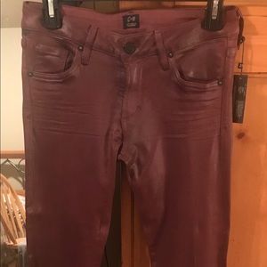 Meet your Posher, Darcy